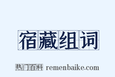 宿藏组词是什么意思的图片
